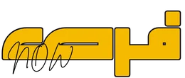 ForasNow Logo